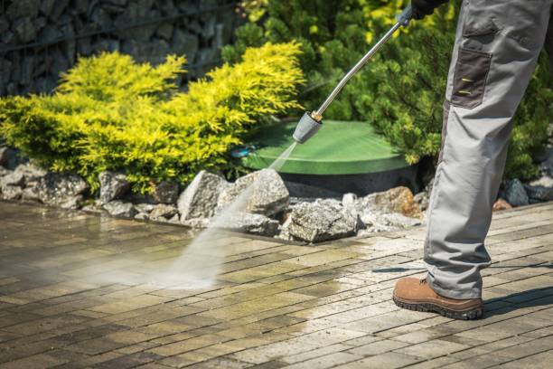 Best Animal Enclosure Cleaning  in Norfolk, NE